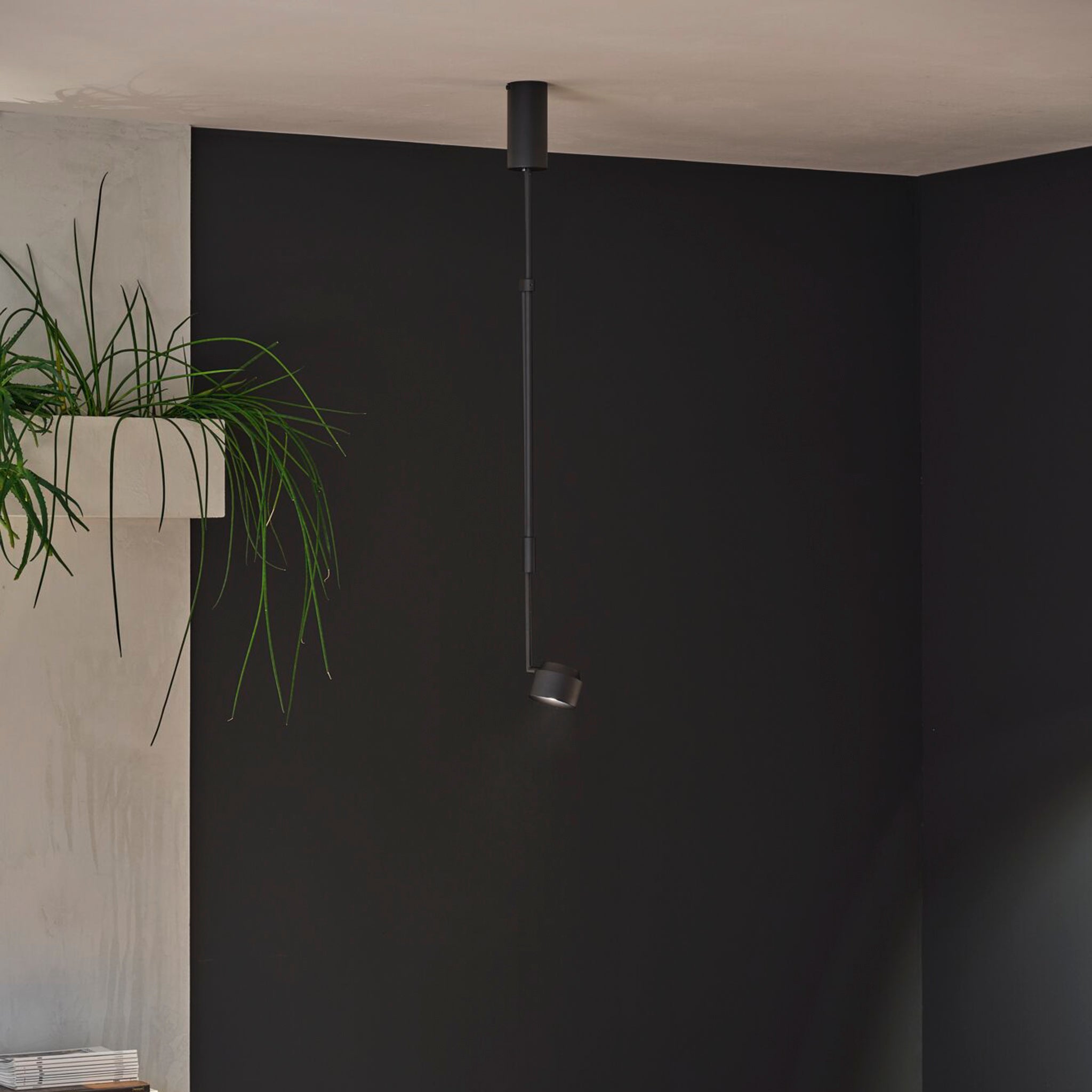 Modern room with a black accent wall, a Puric Pane 9.5W LED Pendant Light with 3-Step Dim in Black for adjustable lighting design, and a plant in a white pot on a nearby surface.