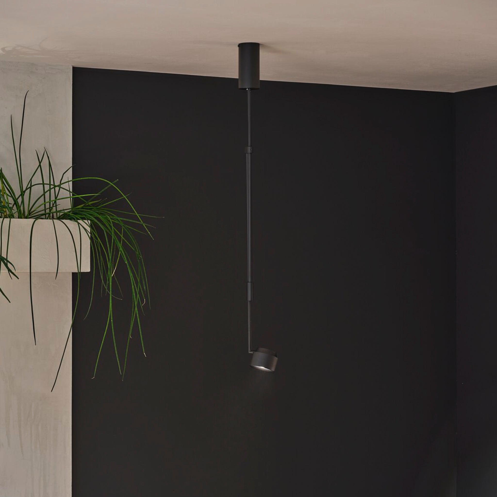 The Paulmann Puric Pane 6W LED Dimmable Smart Home Pendant in Black serves as a minimalist ceiling light against a dark wall, complemented by greenery on a nearby white shelf, and offers a flexible lighting design. It's compatible with Zigbee 3.0, ensuring seamless integration into your smart home setup.