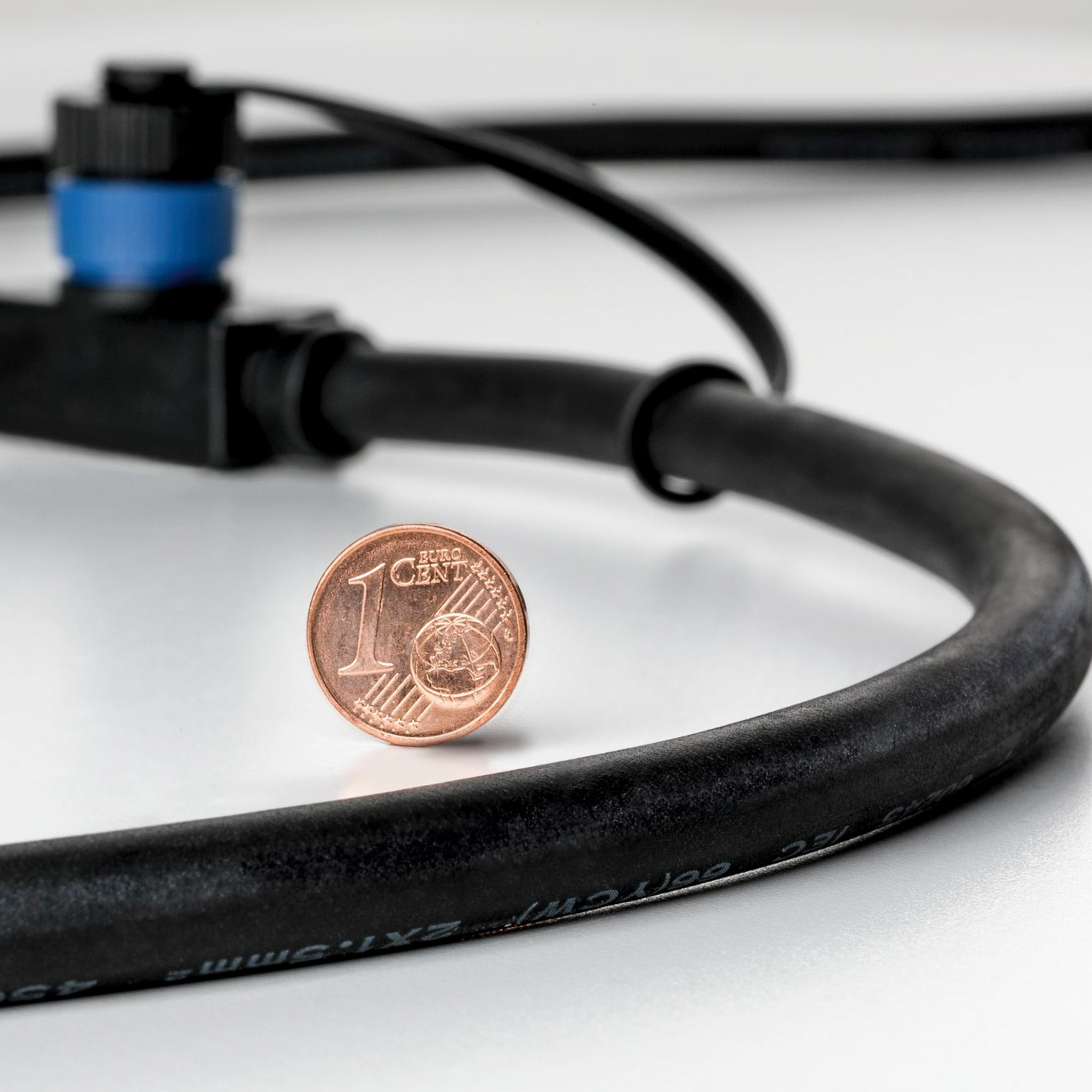 A 1-cent euro coin is leaning against a black, weather-resistant hose with a blue connector on a white surface, showcasing the robust quality similar to our Paulmann - Plug & Shine Outdoor 6W LED Surface-Mounted 19.3cm Double Spotlight in Anthracite.