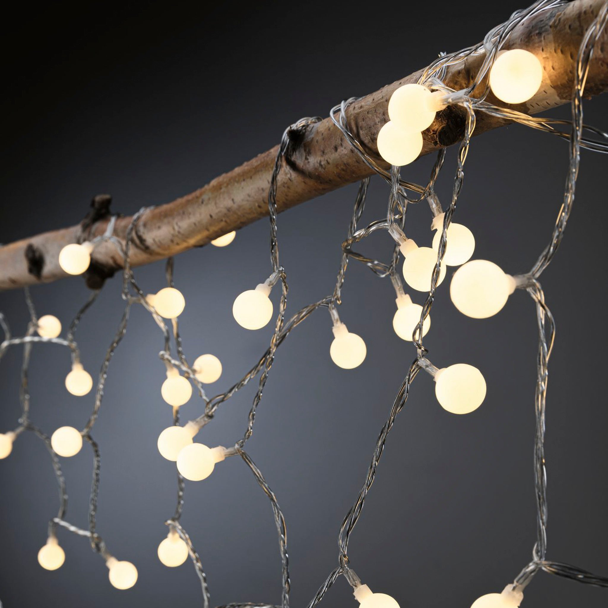 The Paulmann - Plug & Shine Outdoor 1.8W LED 5m Warm White Fairy Lights in Black gracefully hang from a wooden branch against a dark backdrop, setting a magical ambiance.