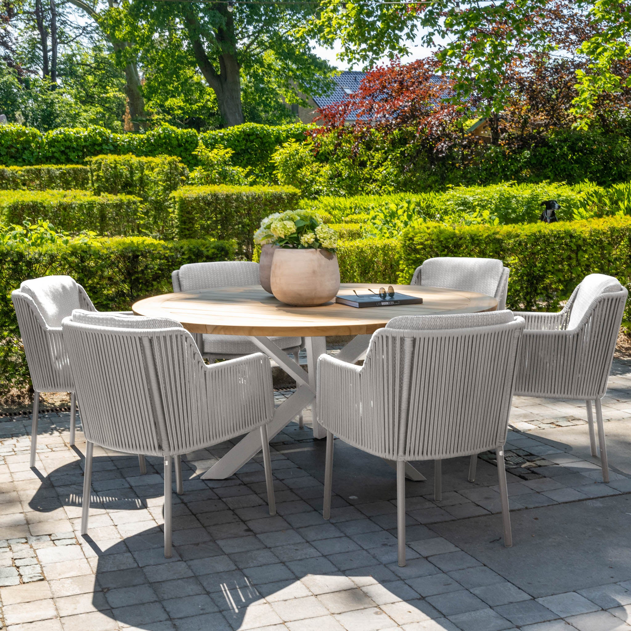 Outdoor patio featuring six light grey Bernini wicker chairs around a teak round dining table, surrounded by lush greenery and hedges.