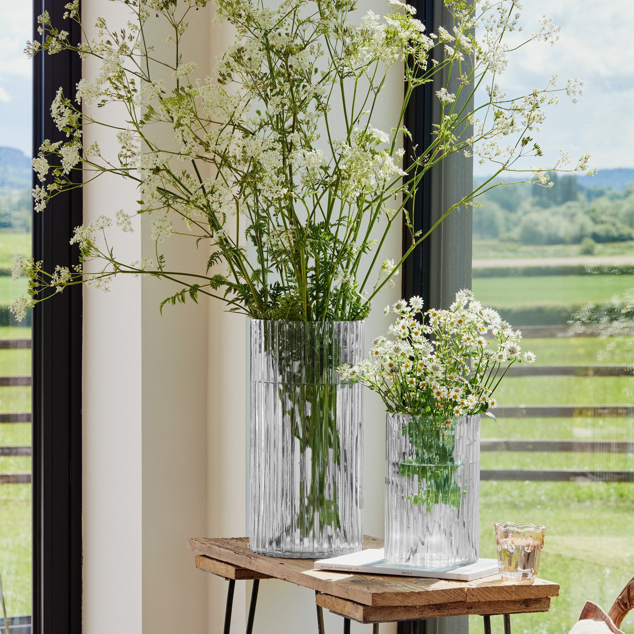 Two Daphne Ribbed Vases in Clear, each featuring delicate white flowers, sit on a wooden table by large windows overlooking a scenic green landscape, adding a touch of sustainable décor to the room.