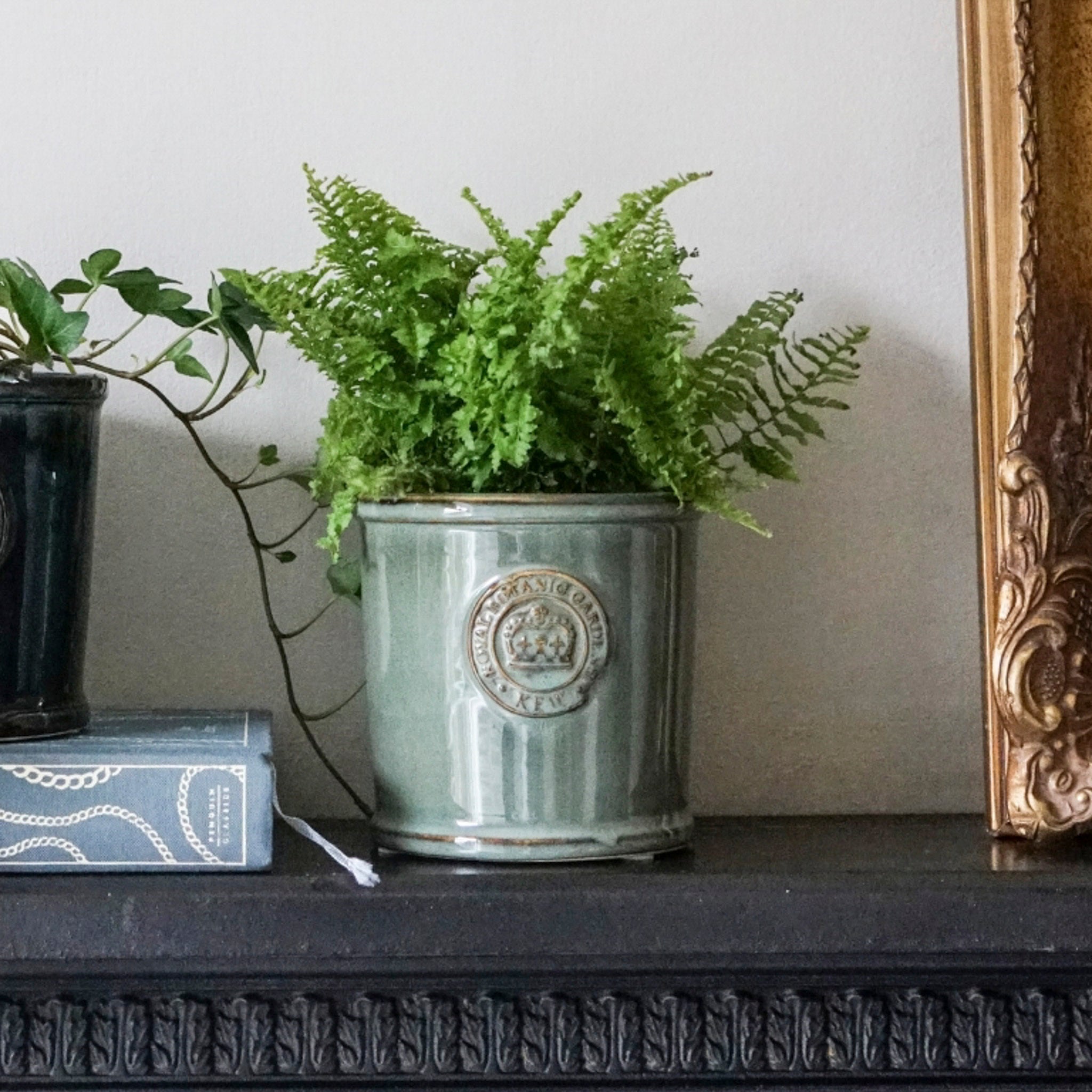 A lush green plant, housed in the Ivyline - Kew Reactive Glaze Sage Planter, sits on a shelf next to a book and a gold-framed mirror.