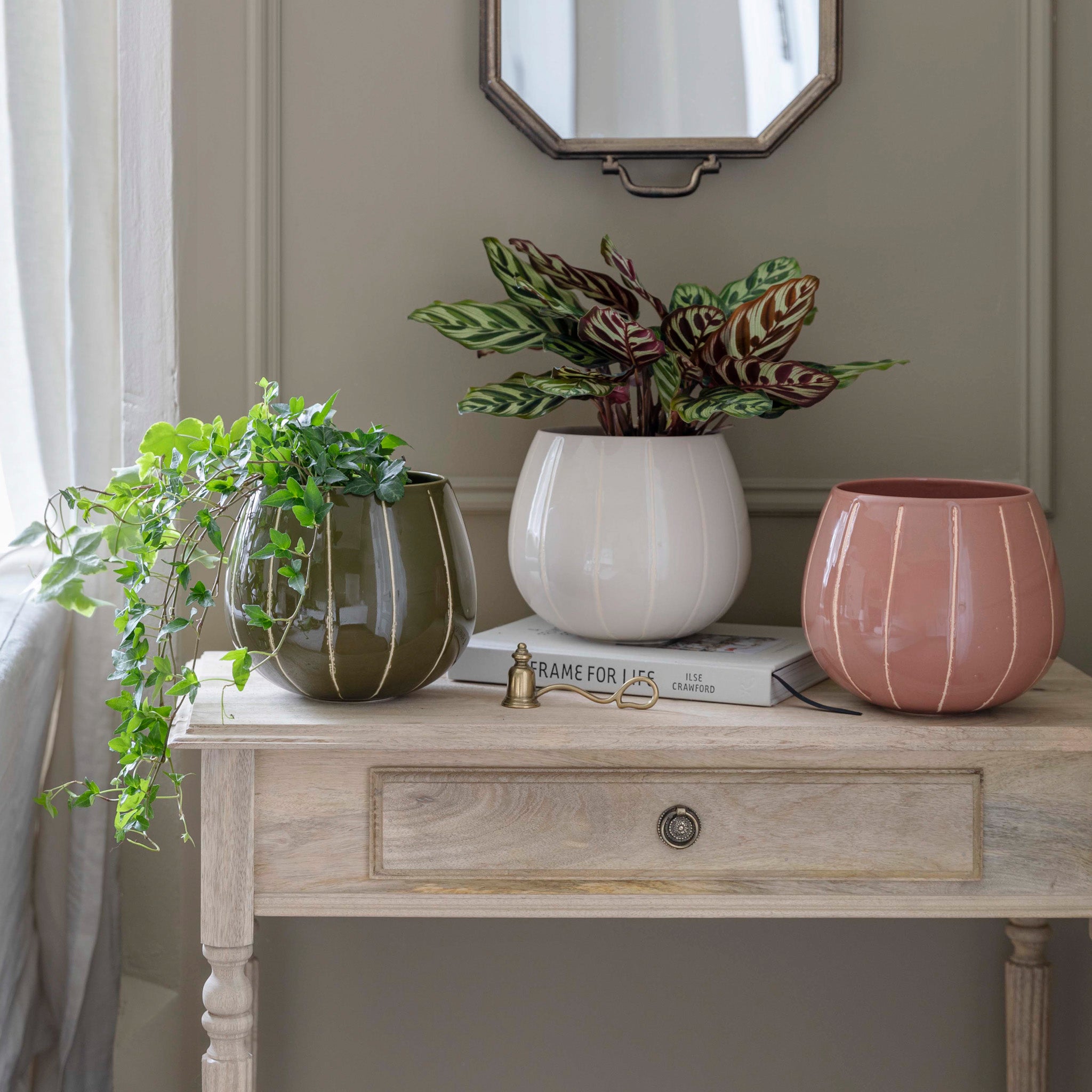 Three potted plants, including one in a Nova Wax Relief Rose Planter, sit on a light wooden table with a book and figurine, in front of a mirror on an olive-green wall.