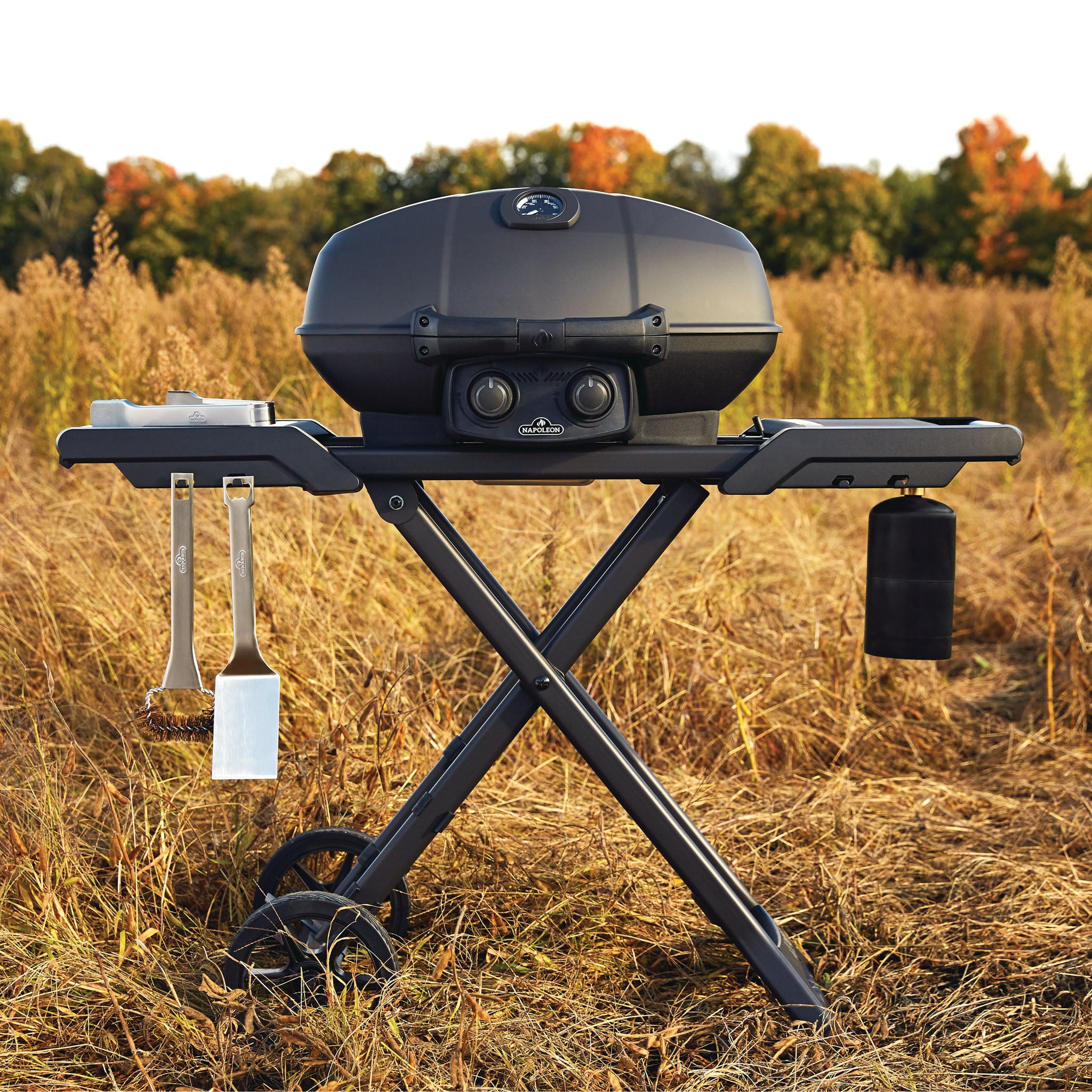 The Napoleon Phantom TravelQ Pro 285X Portable Gas Barbecue, featuring folded legs and a side for hanging cooking tools, is pictured in a field with autumn trees in the background.