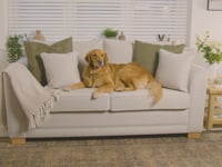 Ardley 3 Seat Sofa Bed in Ivory